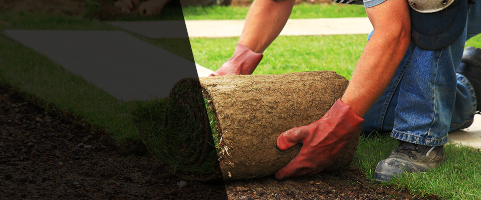 Weatherford Landscapers